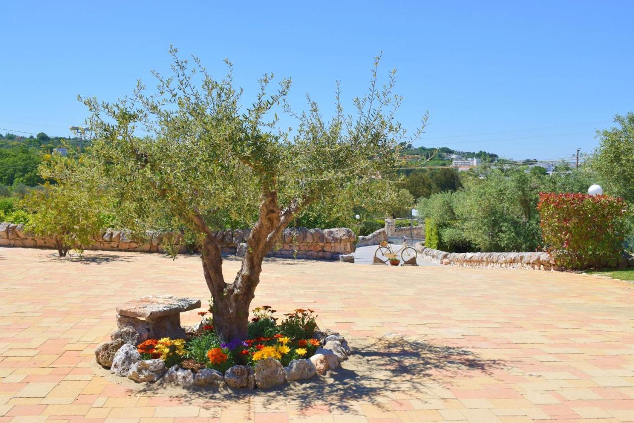 La Rosa Dei Trulli B&B Alberobello Exteriér fotografie