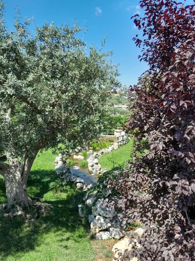 La Rosa Dei Trulli B&B Alberobello Exteriér fotografie