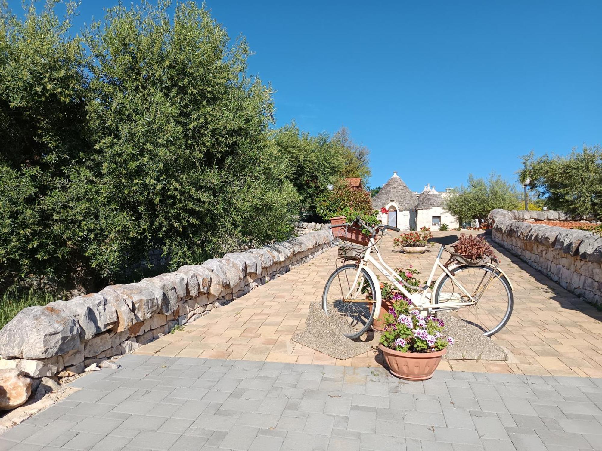 La Rosa Dei Trulli B&B Alberobello Exteriér fotografie