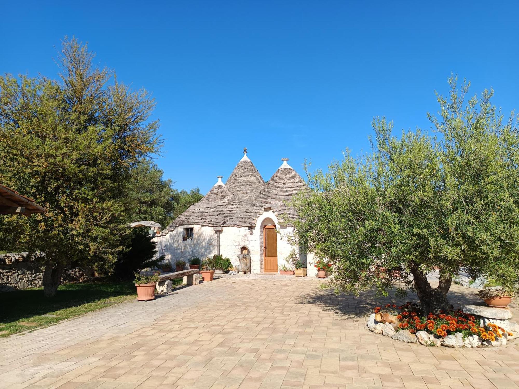 La Rosa Dei Trulli B&B Alberobello Exteriér fotografie