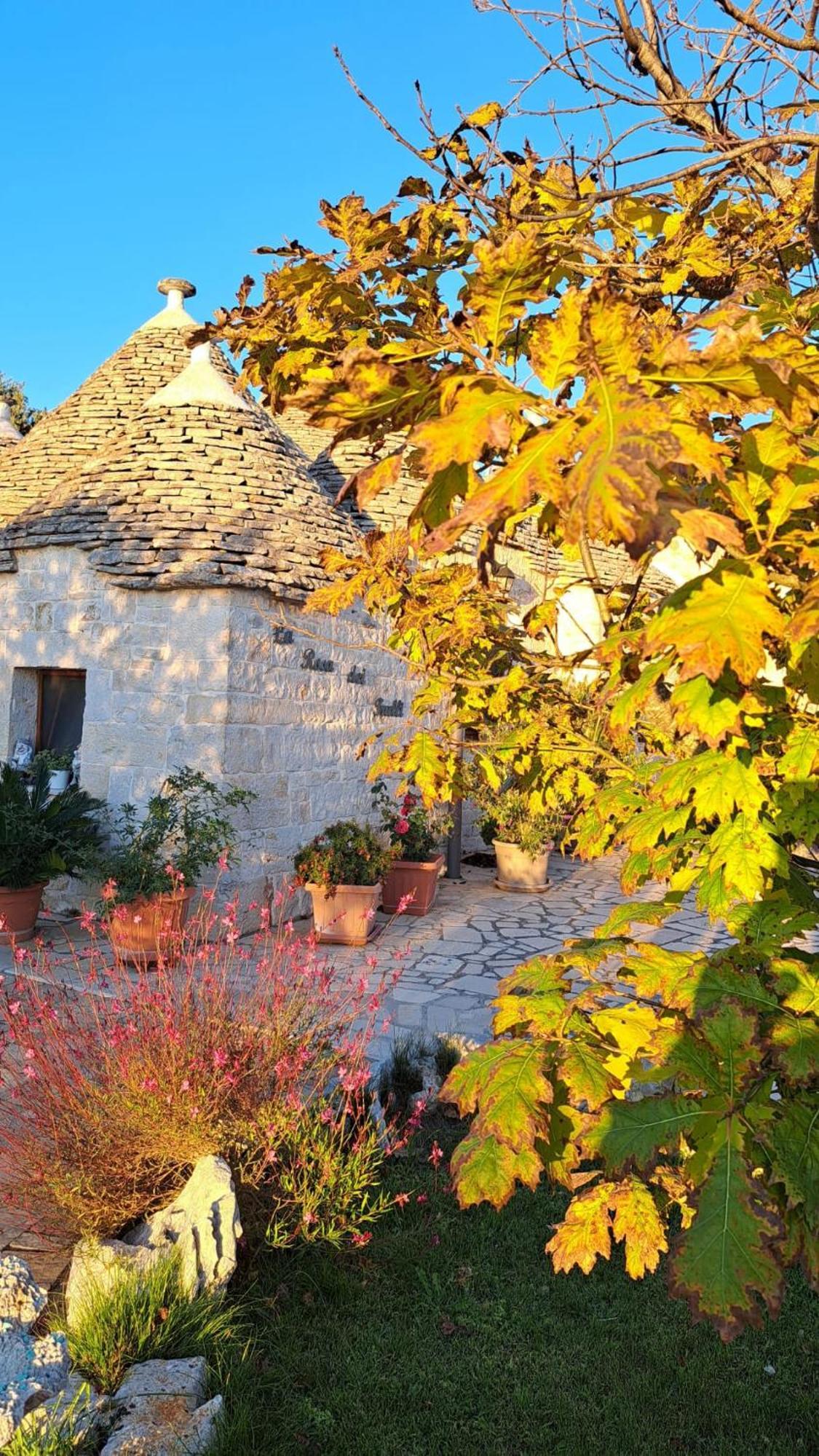 La Rosa Dei Trulli B&B Alberobello Exteriér fotografie