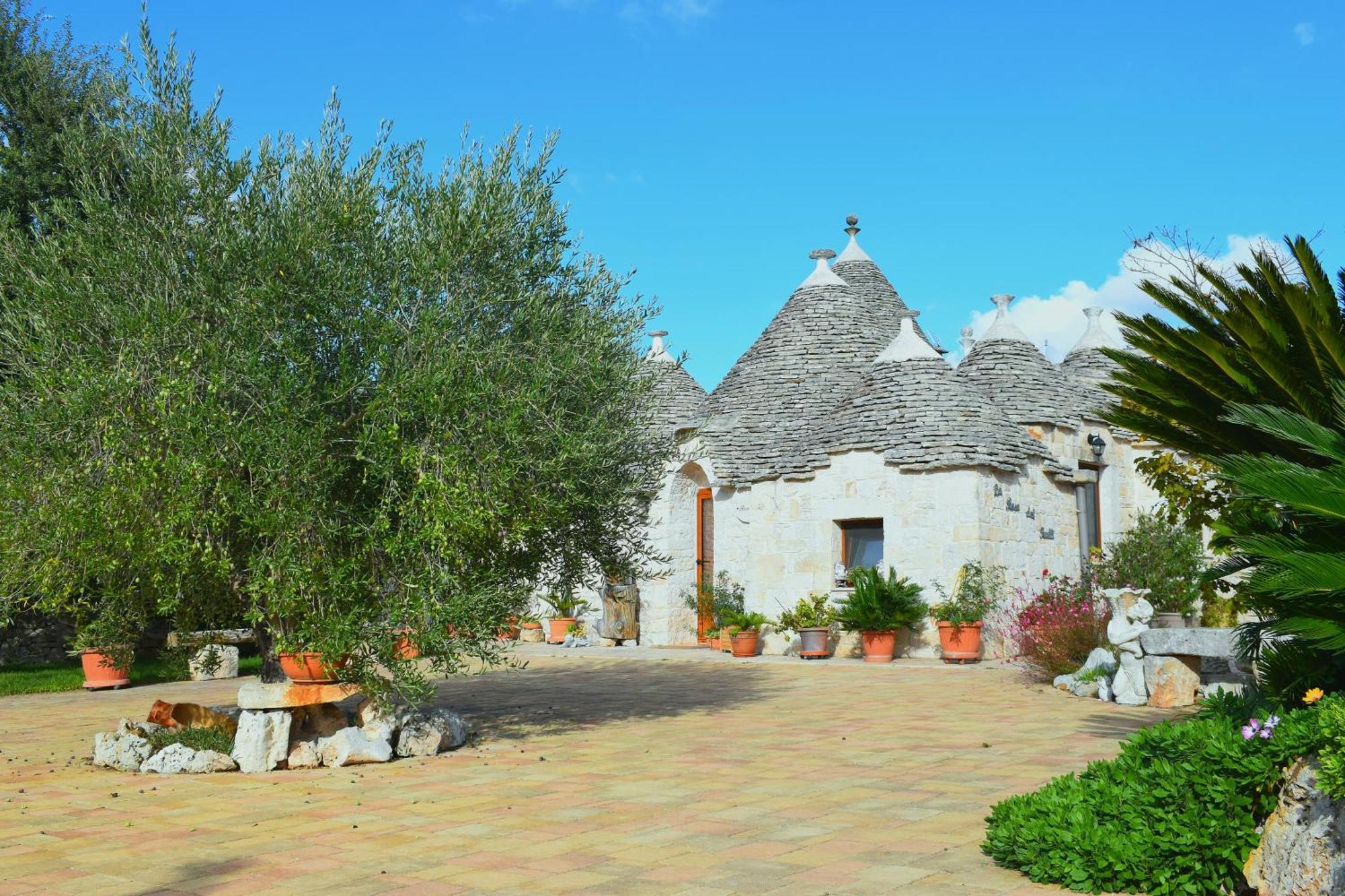La Rosa Dei Trulli B&B Alberobello Exteriér fotografie