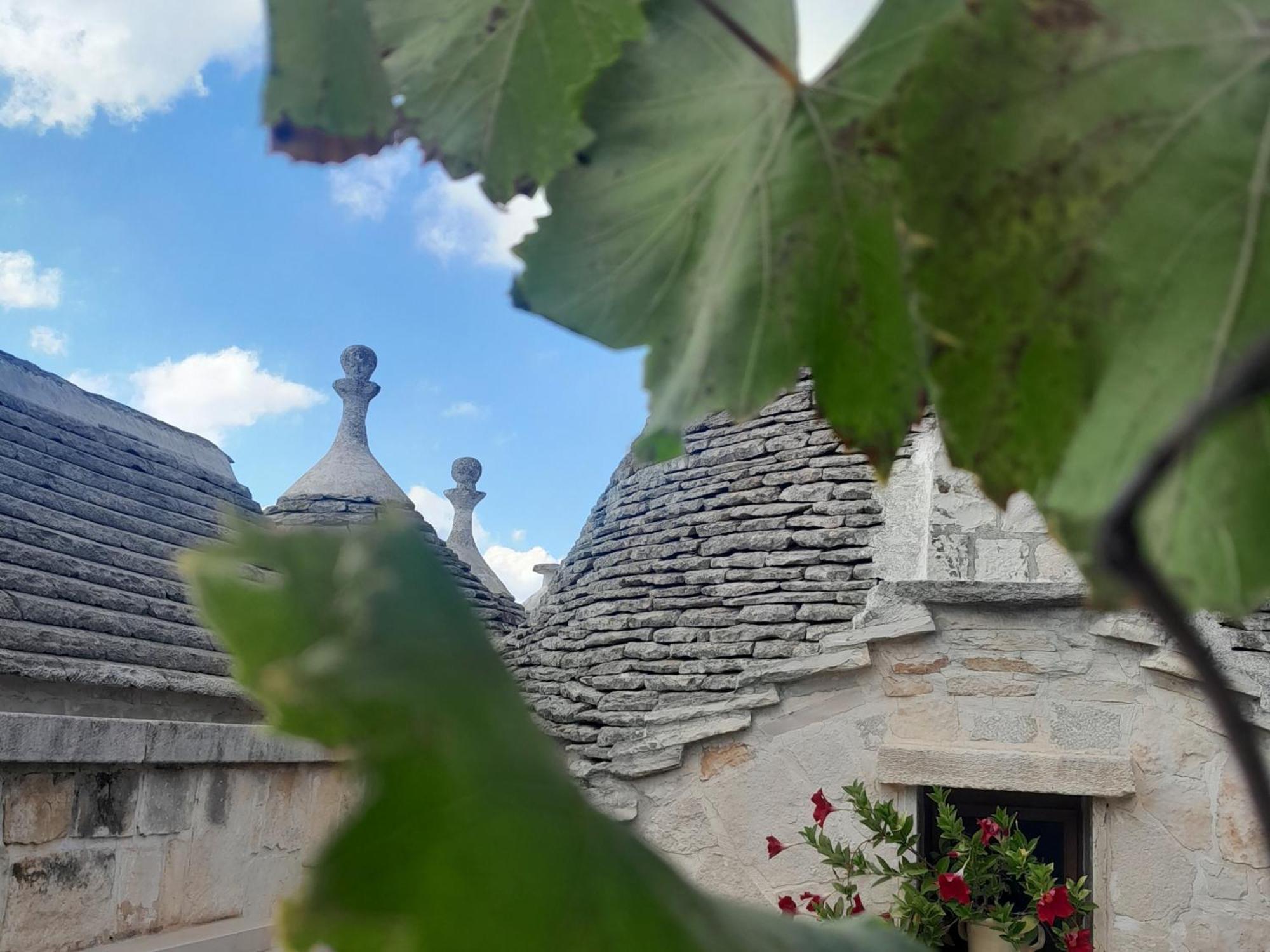La Rosa Dei Trulli B&B Alberobello Exteriér fotografie