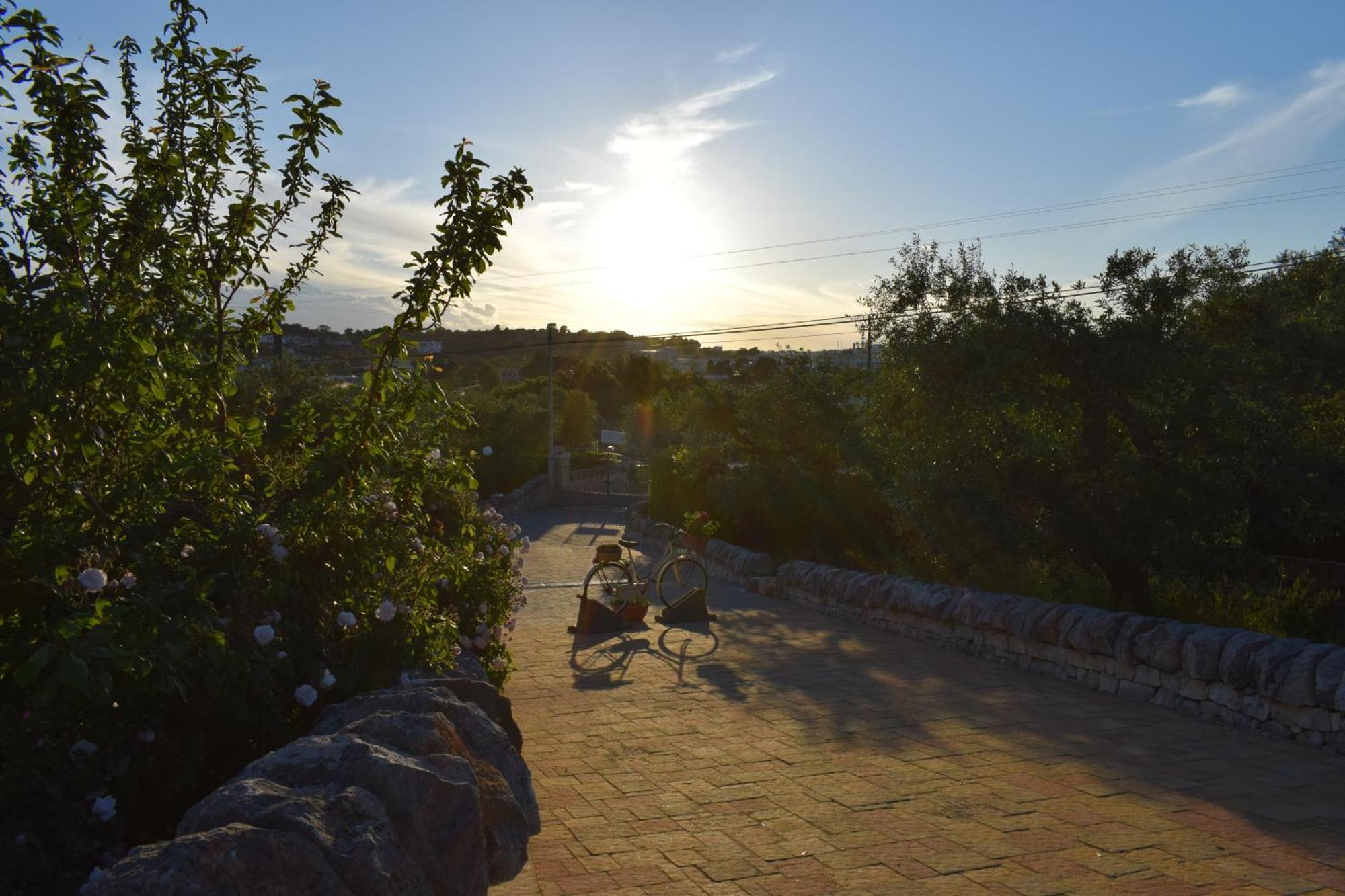 La Rosa Dei Trulli B&B Alberobello Exteriér fotografie
