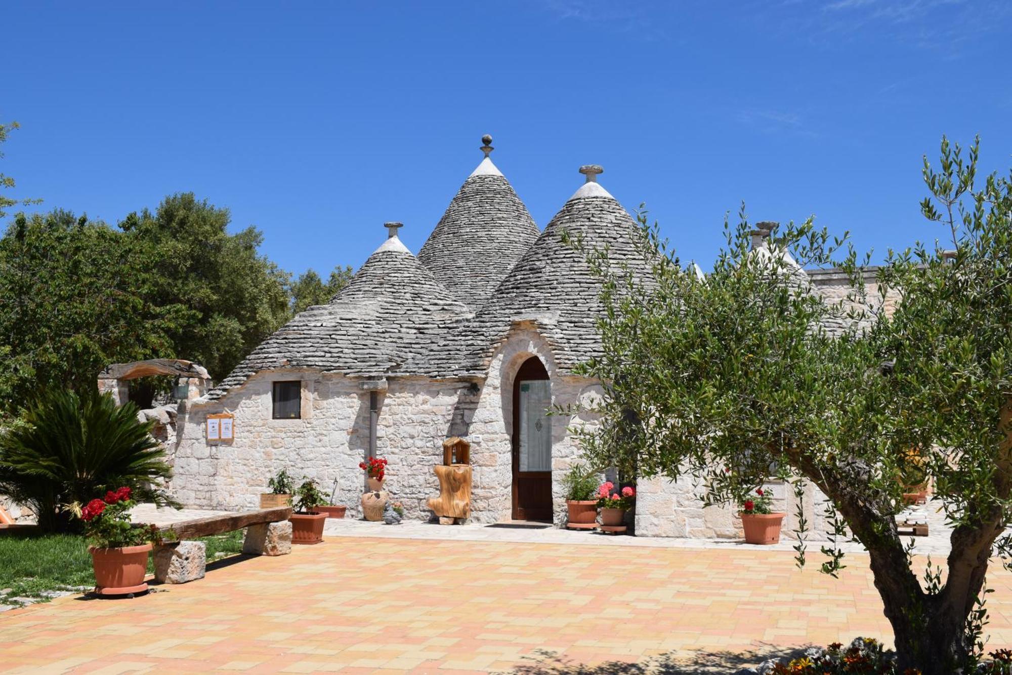 La Rosa Dei Trulli B&B Alberobello Exteriér fotografie