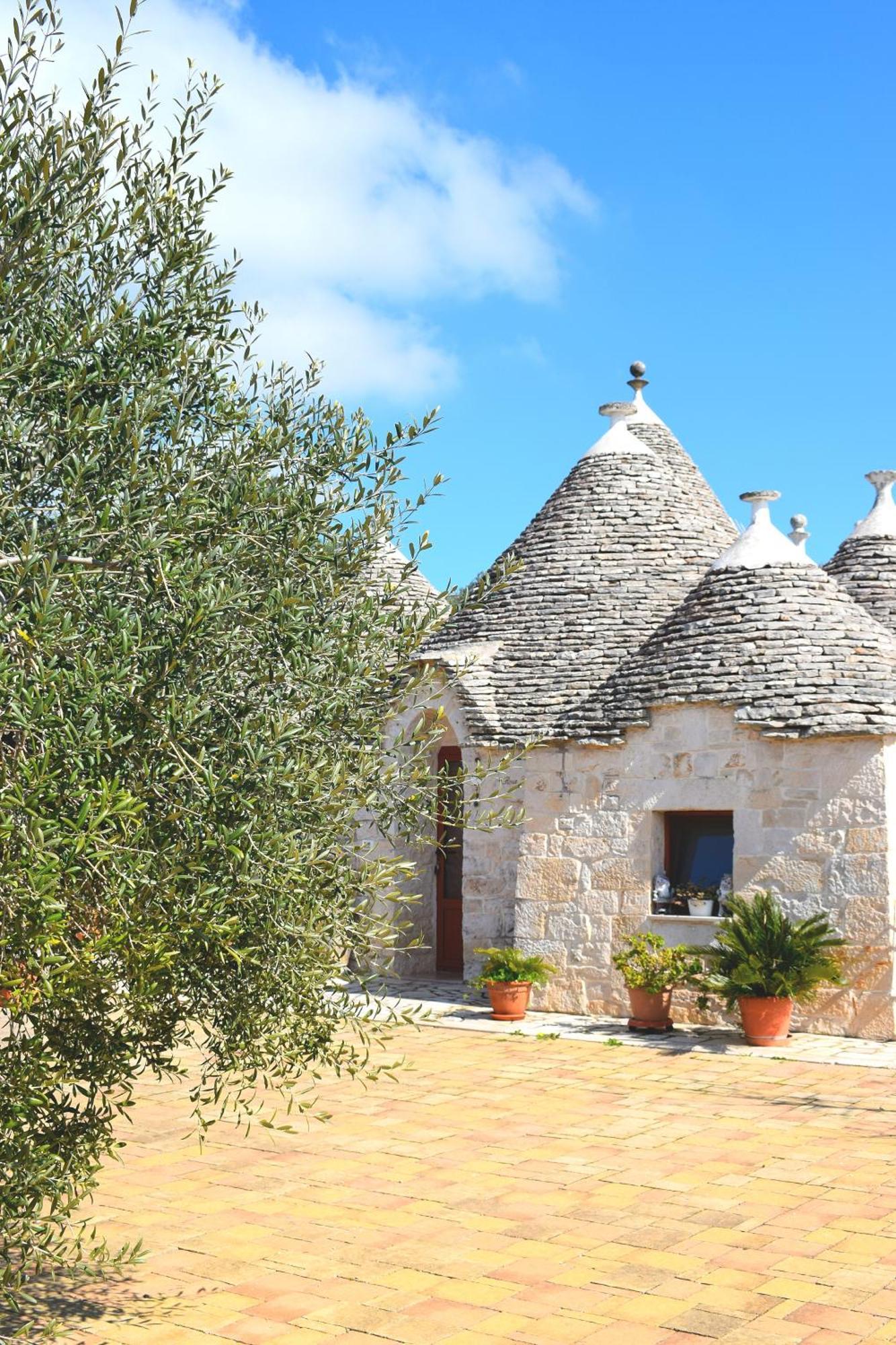 La Rosa Dei Trulli B&B Alberobello Exteriér fotografie