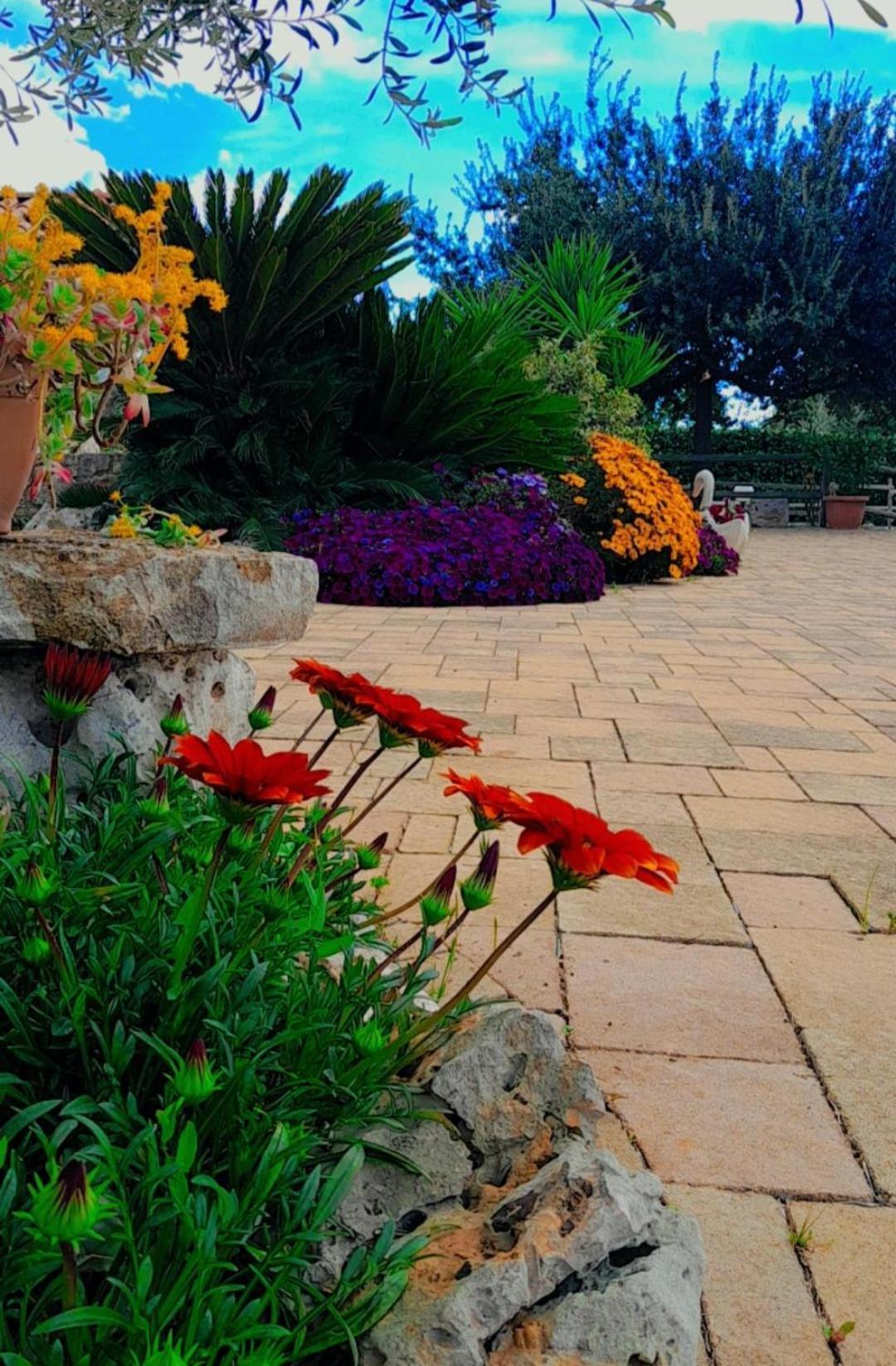 La Rosa Dei Trulli B&B Alberobello Exteriér fotografie