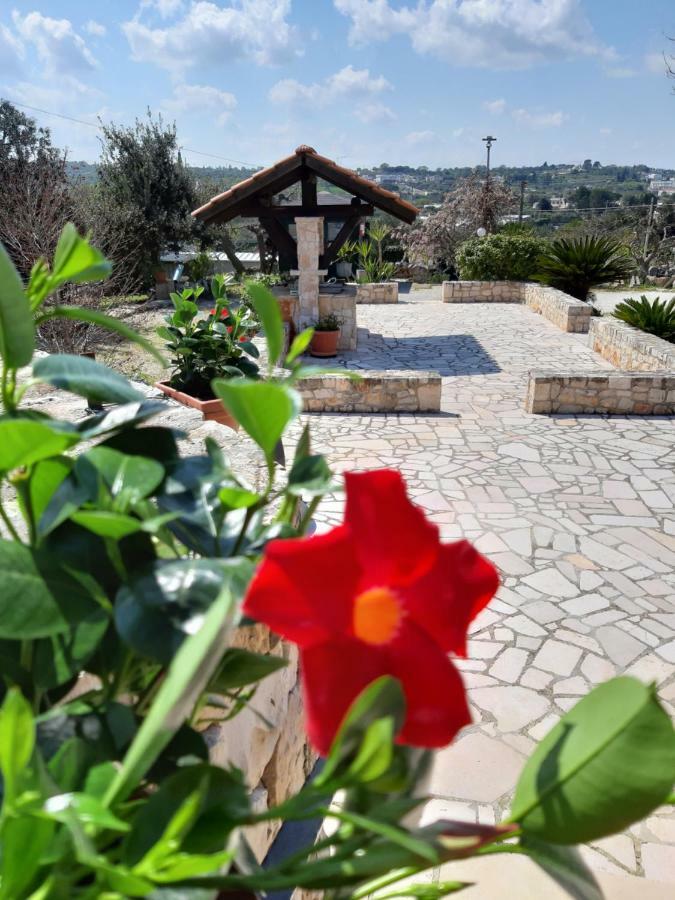 La Rosa Dei Trulli B&B Alberobello Exteriér fotografie